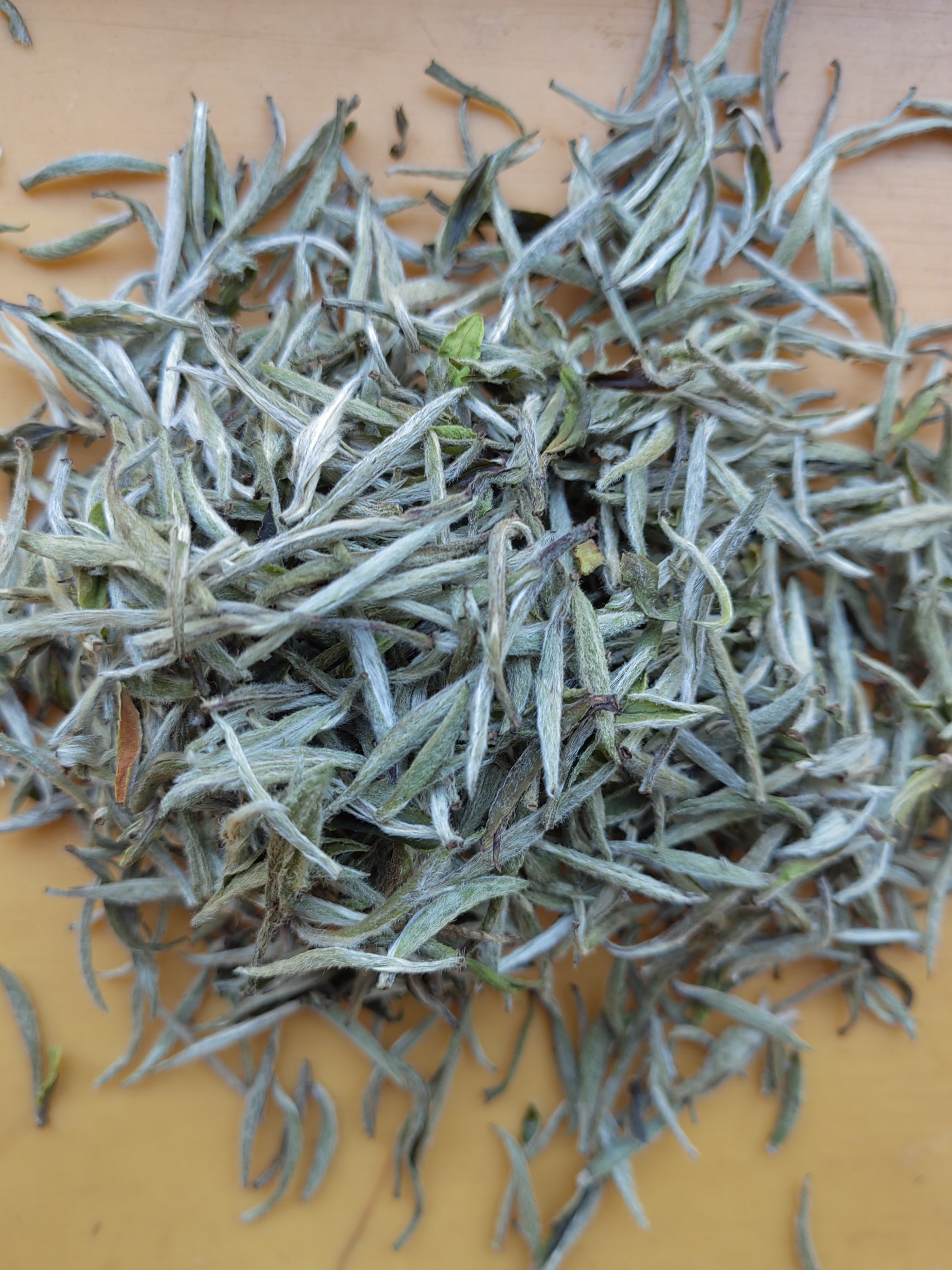 White Tea