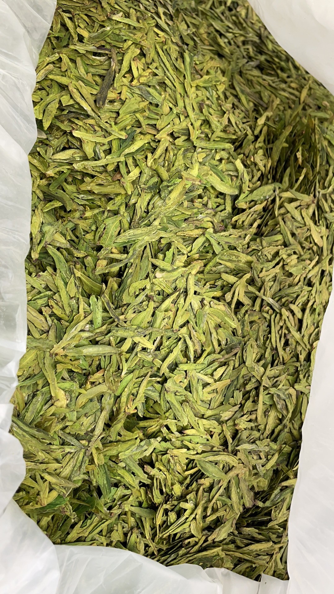 organic longjing tea